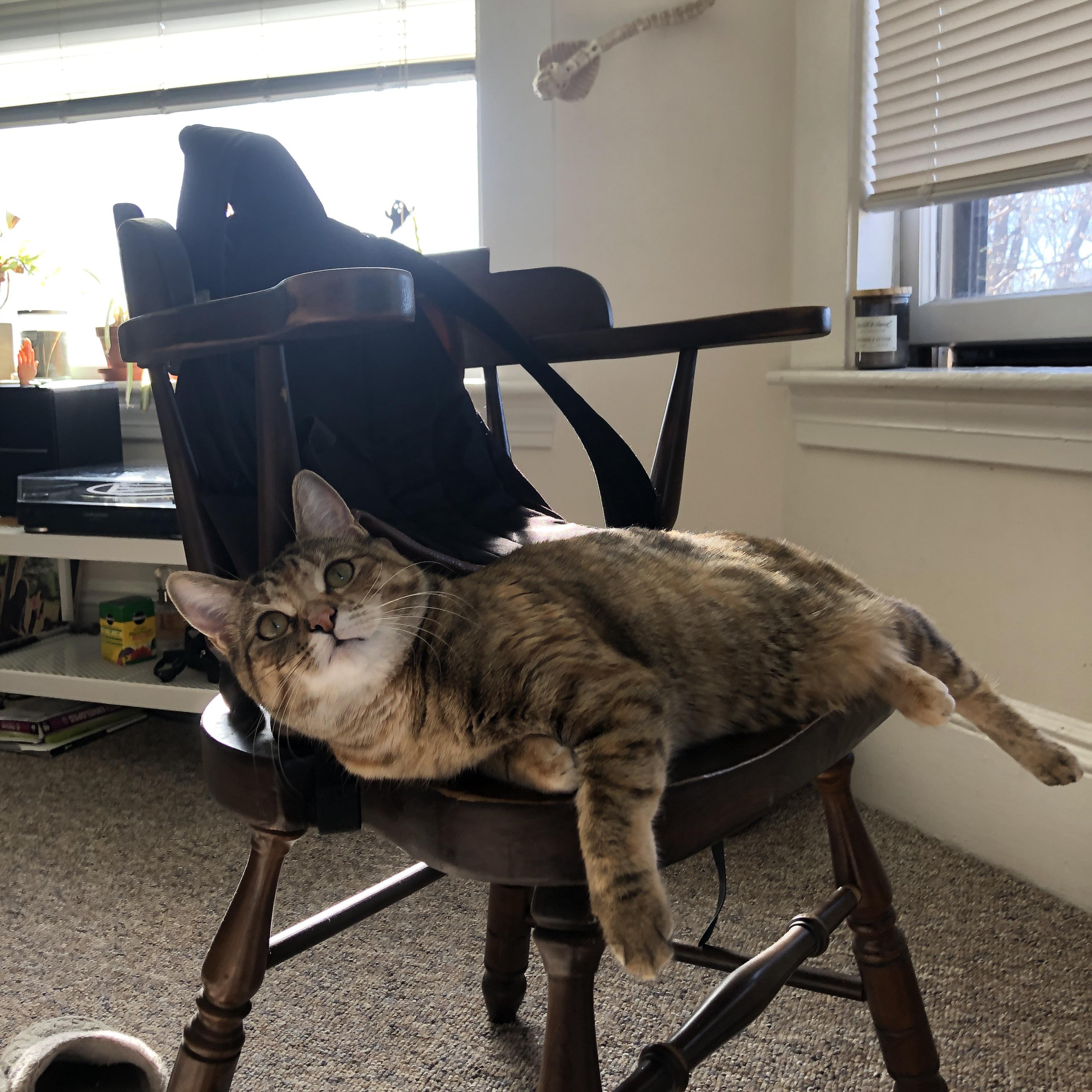 开云·Kaiyun网页版-_未来运动科技展：创新引领体育新时代_，未来体育发展