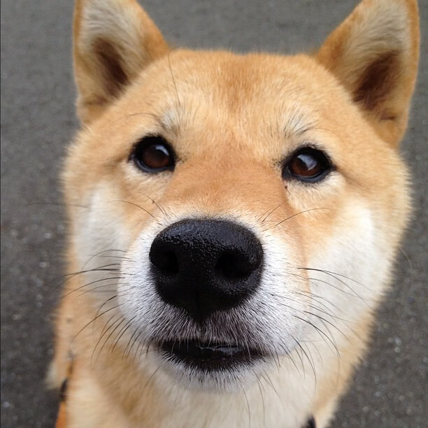 kaiyun体育app-【穆基·贝茨的闪耀夜晚】道奇的核心攻击力爆棚，穆奇-贝茨