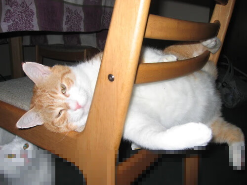 开云官方网页登录-国际雪地摩托挑战赛，冰雪中极速驰骋的勇士，雪地摩托历史