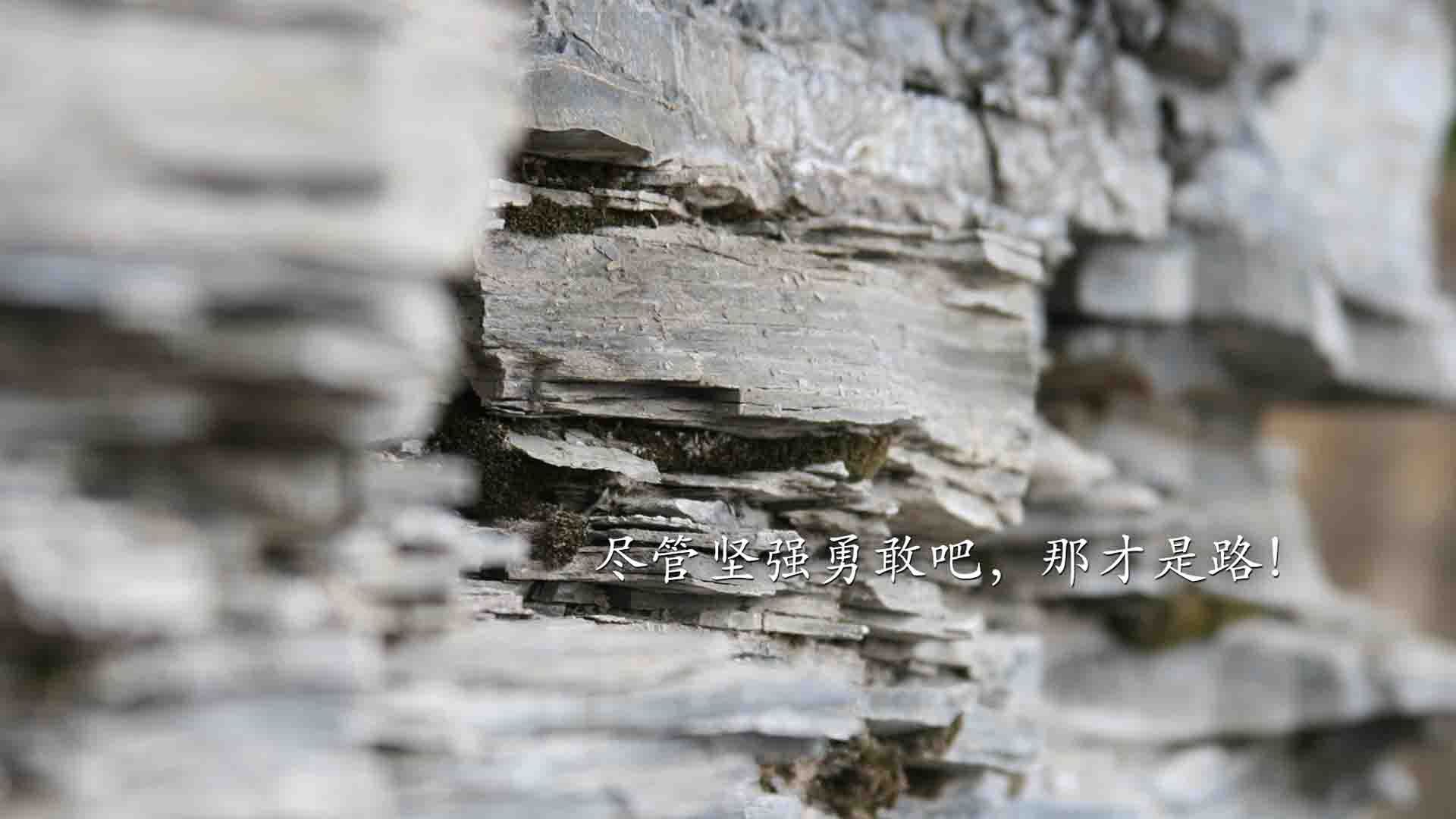 开云入口-战术智慧：不同教练的创新思路揭秘，教练技术共赢