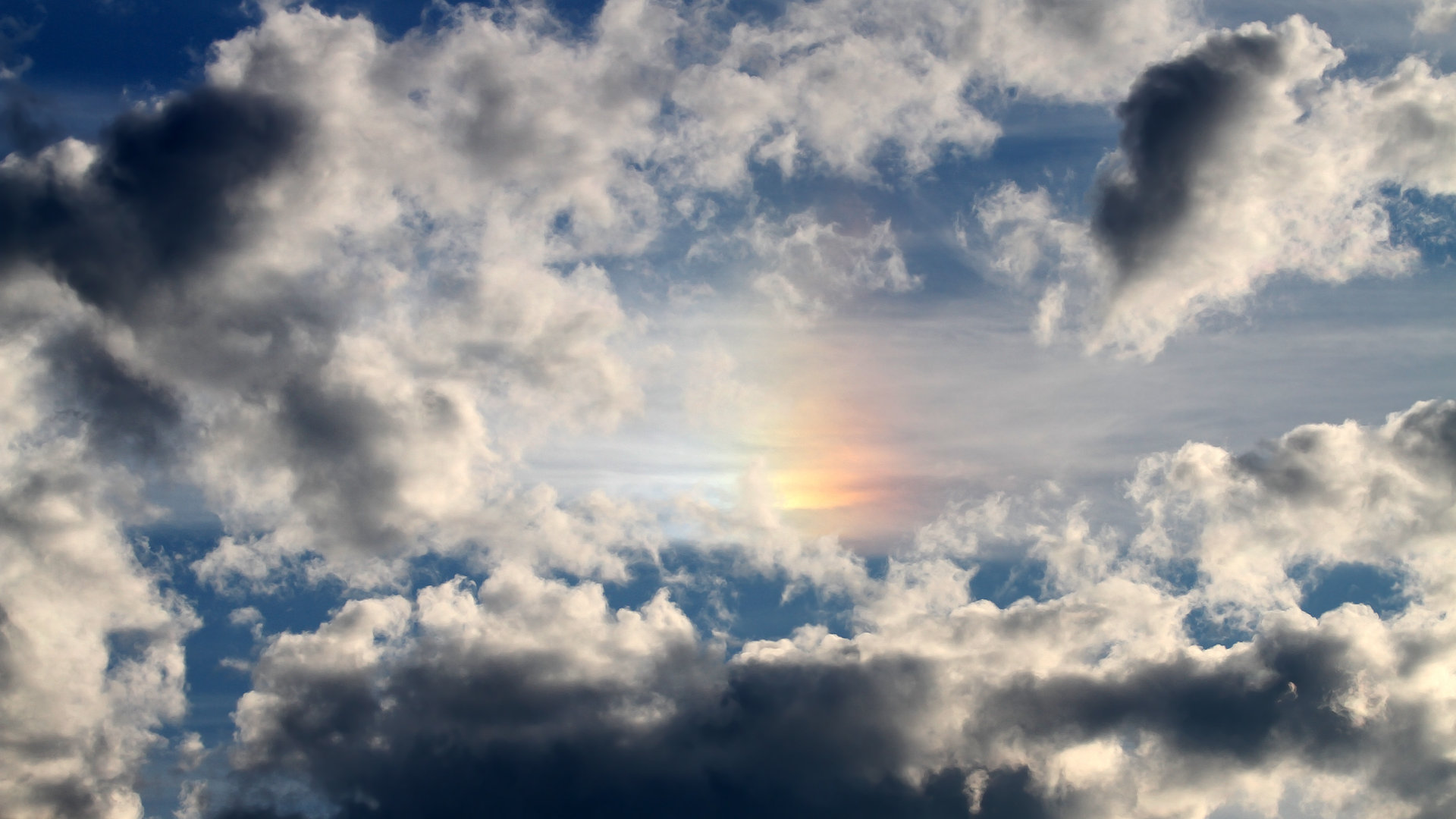 Kaiyun APP-绿色长跑:环保与健康的结合,绿色长跑活动