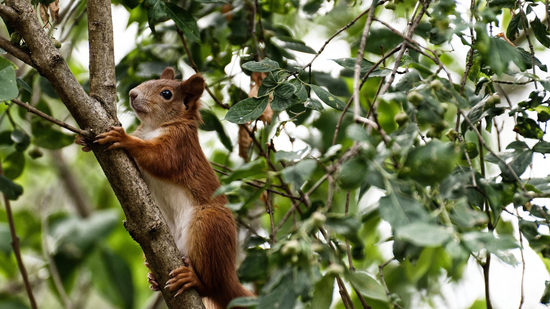 kaiyun体育app-BLG战队与省级体育局达成共建电竞训练体系协议，blg战队成员全是中国人吗
