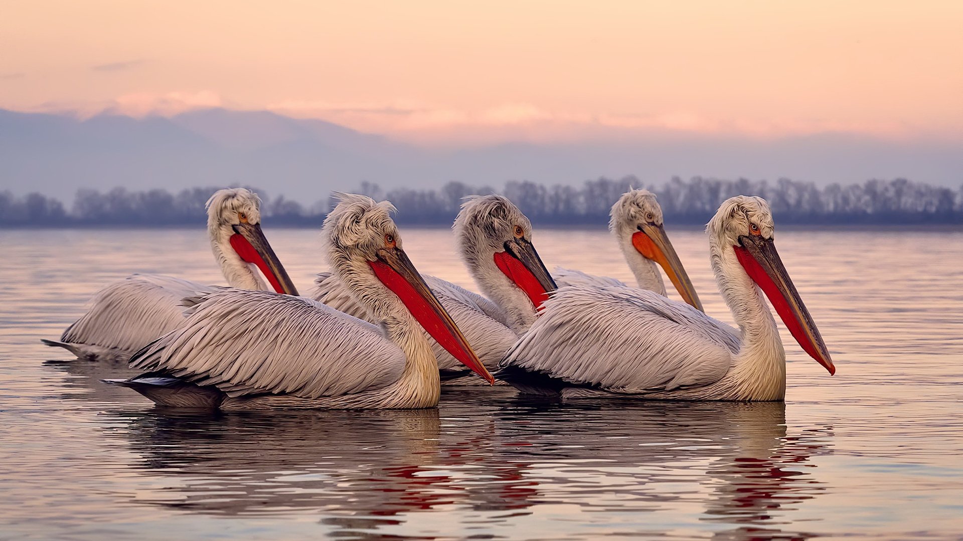 开云·体育官网APP下载-中国足球反腐风暴,43人被终身禁赛,中国足球判刑几人