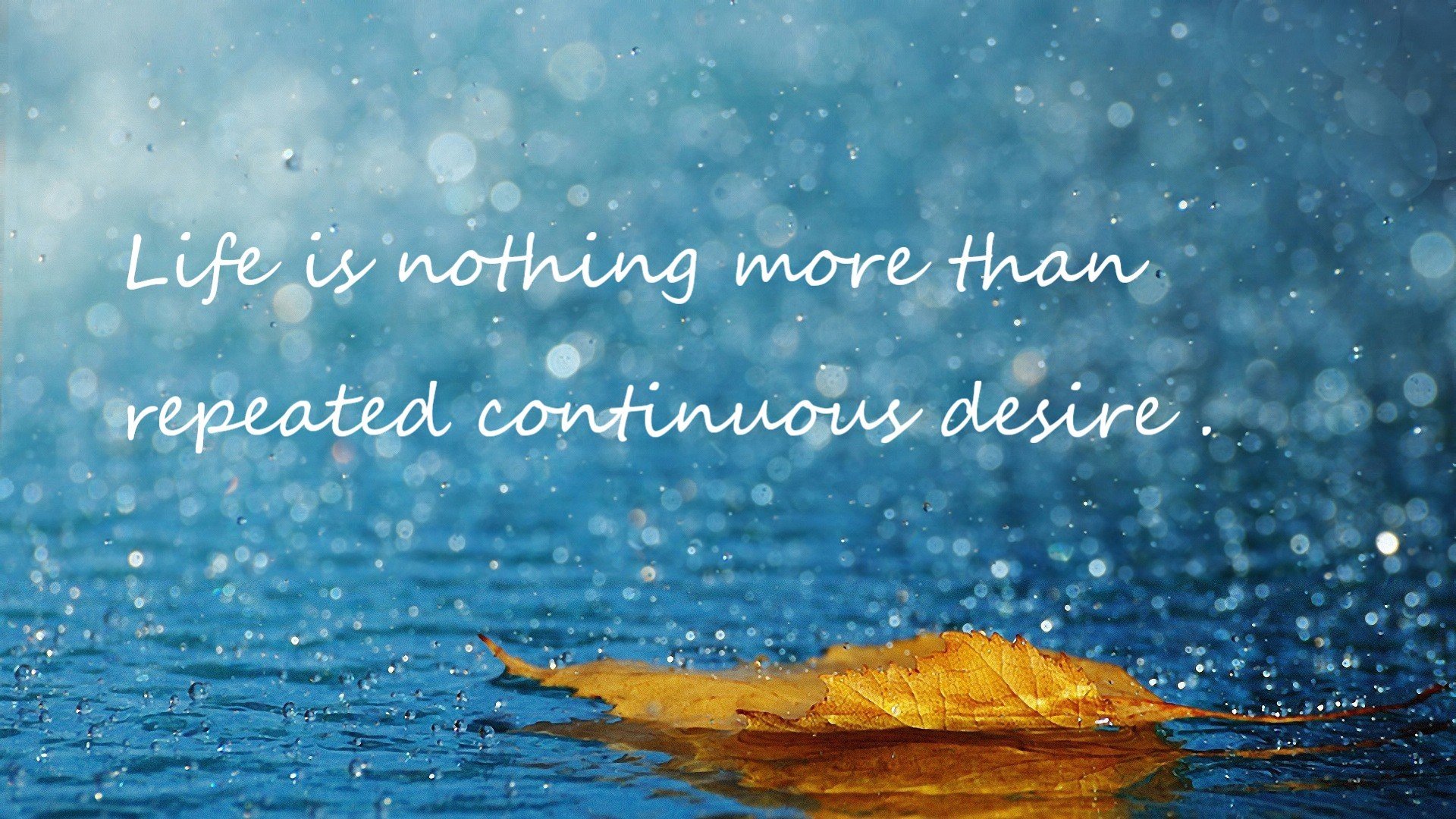 开云网页版登录入口-伊朗男排击败中国，三连冠加冕，伊朗男排主攻