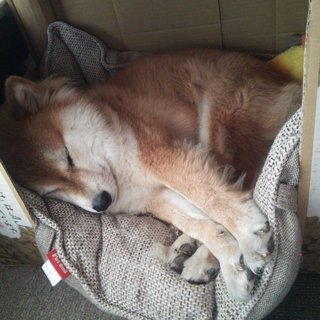 Kaiyun(中国)开云-克罗托内-不敌那不勒斯,战绩一落千丈,克罗托内近期战绩