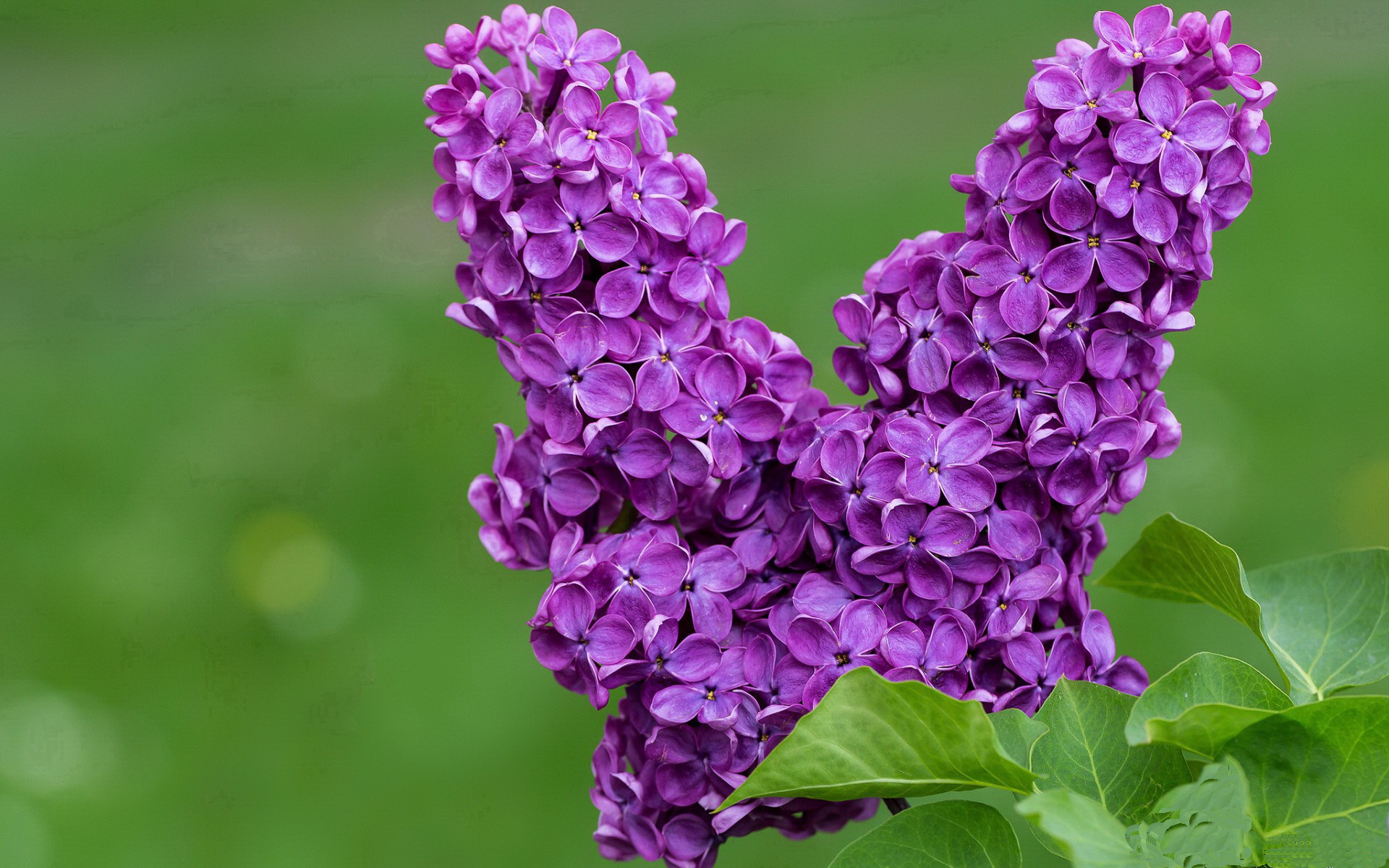 kaiyun中国官方网站-德累斯顿矿工扬帆启航，一路顺风破浪前行，德累斯顿vormerkung