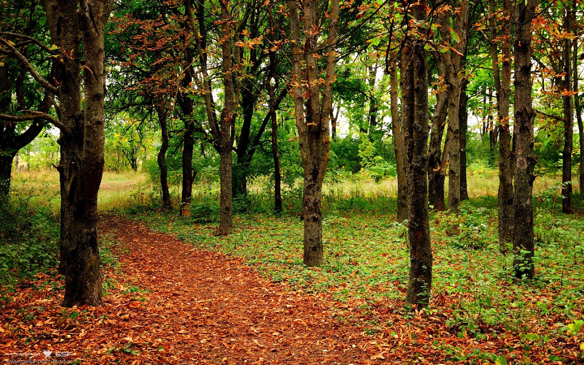 Kaiyun官方登录入口-皇马客场大胜，积分榜上升至第二位，皇马积分反超巴萨