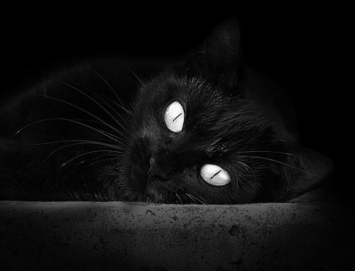 kaiyun中国官方网站-马德里竞技乘胜追击，晋级欧冠半决赛，马德里竞技 欧冠决赛