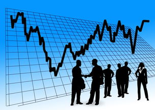 开云·体育官网APP下载-中超年度数据表现波动率分析,2020中超球员跑动数据