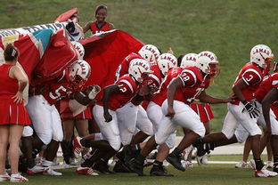 开云官方网页登录-威少强势复出奇才球队重返前八，威少奇才首秀