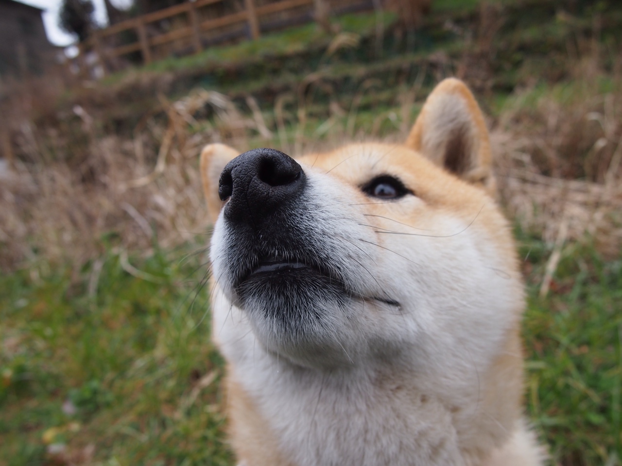 kaiyun.com-电竞赛事转播技术升级引领高清体验，电竞转播技术招聘