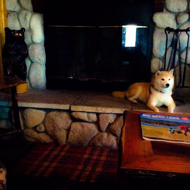 kaiyun开云·官方网站-麦金托什稳扎稳打锁定决赛领先位置，麦金托什海报